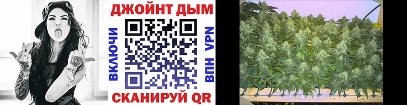 Купить где  Тбилисская  Конопля OG Kush 